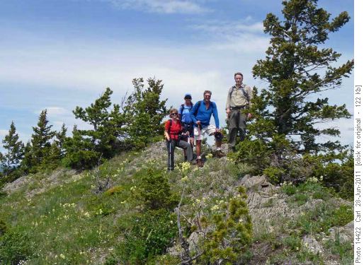 Typical terrain on Whaleback Ridge