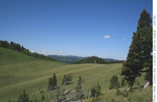 The last col before we start the narrower part of the ridge