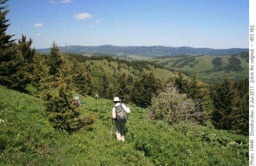 The downward trek with great views of Black Mtn.