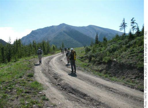on the loggin road.Coffin mnt. behind