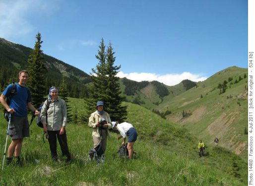 Lush meadows .Valley east of Mt Livingstone