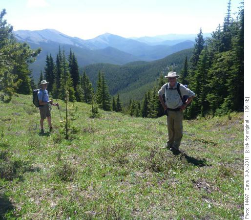 View SW of Jumpingpound Mountain