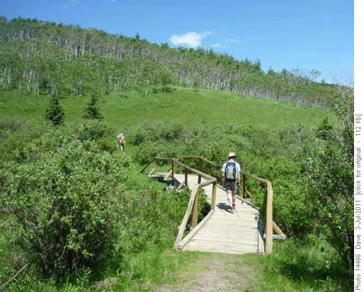 Bridge at the start of Ole Buck Loop