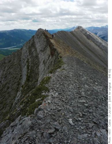 A ridge with a view