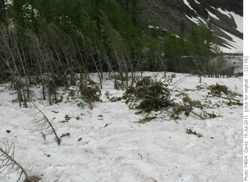 Avalanche debris at the outlet from Temple Lake