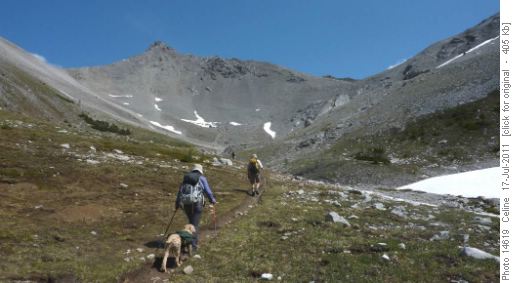 On the way to Buller Pass (south route)