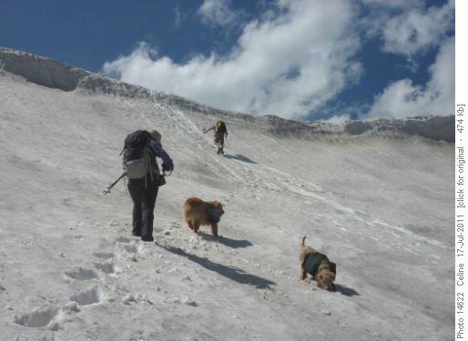 Climbing North Buller Pass