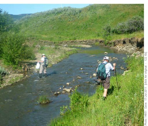 Crossing Chaffen Creek