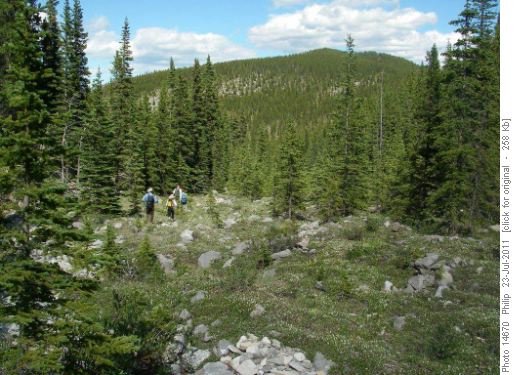 Glasgow Creek drainage