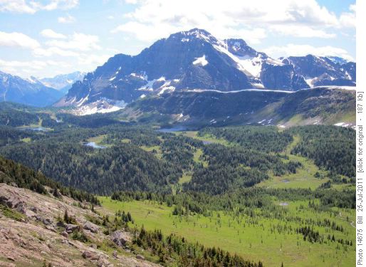The Monarch, the Ramparts and Healy Meadows