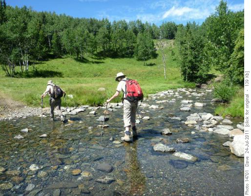 Crossing Dyson Creek