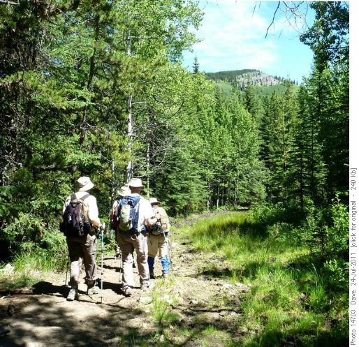 Start of Green Mountain Trail