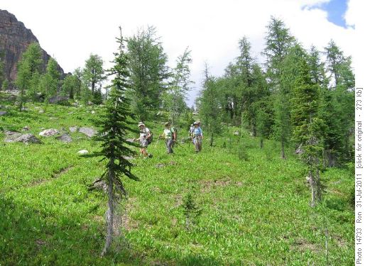 descending from Monarch Ramparts