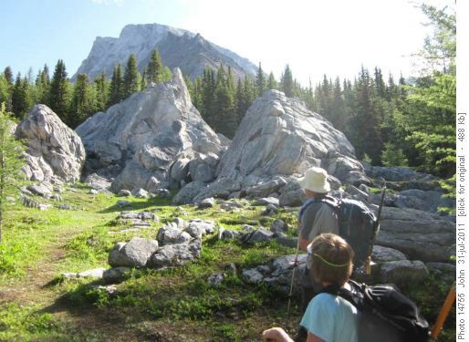 Elephant rocks in summer