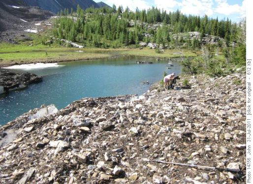 Avalanche debris covered by rock in Three Lakes Valley,