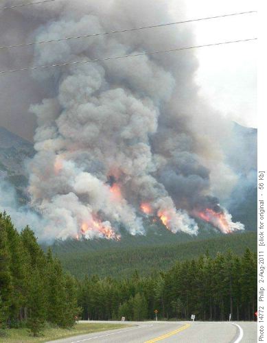 Evan Thomas prescribed burn
