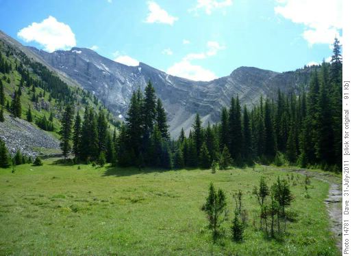 Meadows in amphitheatre