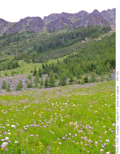 Meadows in Purple Bowl in the morning looking towards Redoubt
