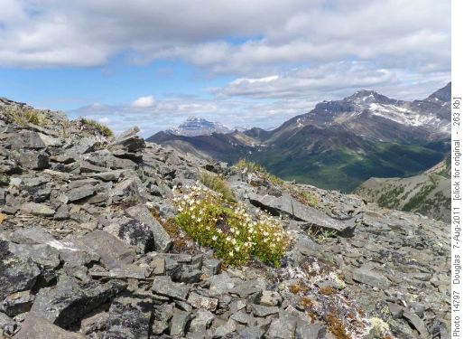 Nearing the end of the ridge to Lipalian with Hector in the background