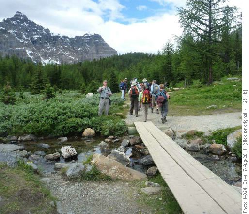 Stream crossing Larch Valley