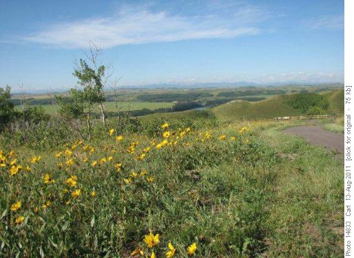 View from the park headquarters