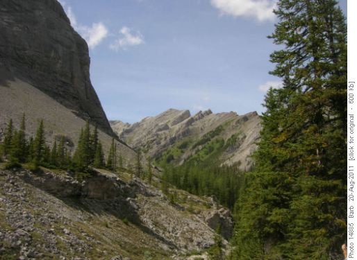 View of valley on return from Buller Pass