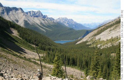 Why we come up here!!