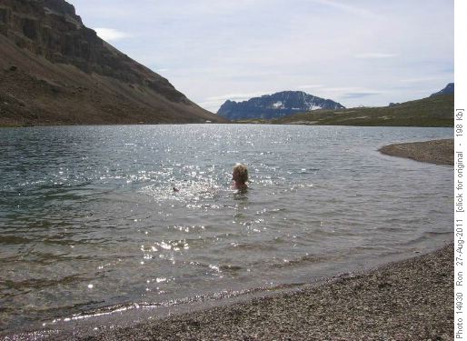 Brave dipper in Katharine Lake