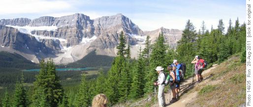 View of Crowfoot Glacier from Helen Lake trail