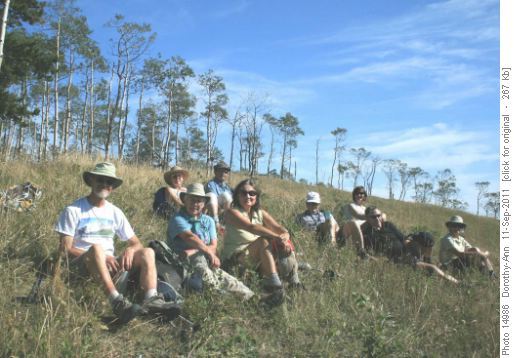 The gang in Hill #3 of Sandy McNabb Hills