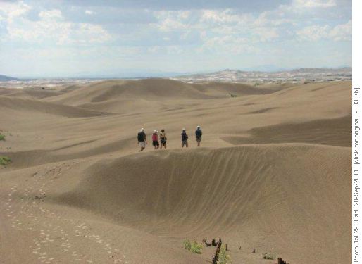 Ramblers roaming on the Little Sahara dunes