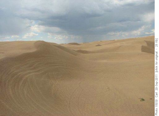 Looks just like the Sahara Desert