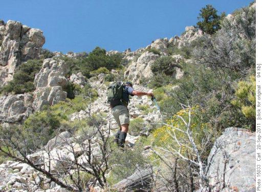 Limestone scree and bushwacking on Swasey Peak