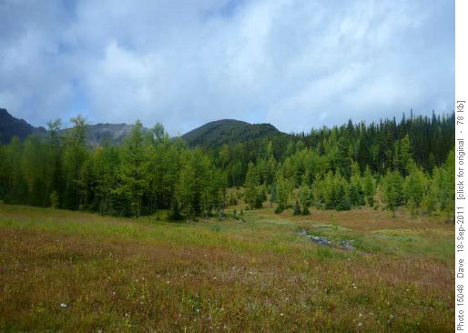 Panorama meadows and ridge