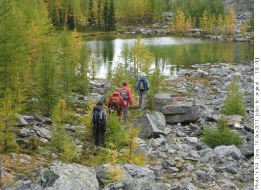 Tarn and larch