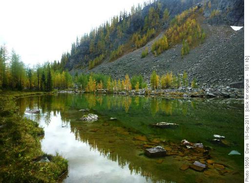 Reflections in the tarn