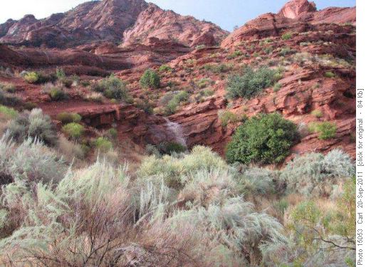 Pouroff in spate after thunderstorm at Red Cliffs