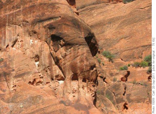 We called this one Cougar Rock