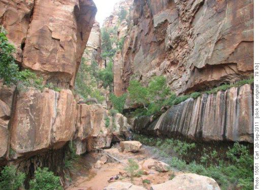 Water Canyon in Caanan Mountain Wilderness