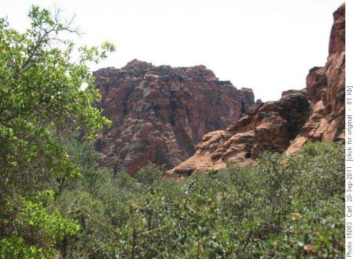 Snow Canyon