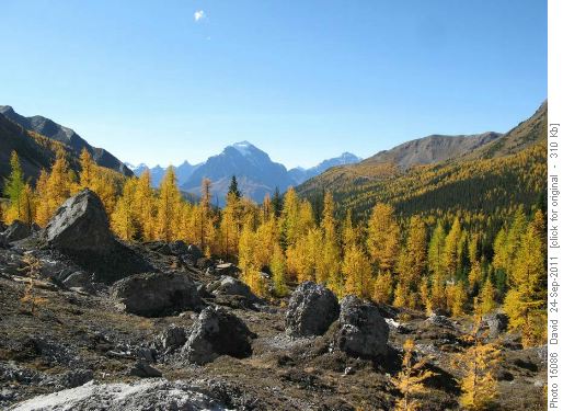 Colourful view going up Boulder Pass