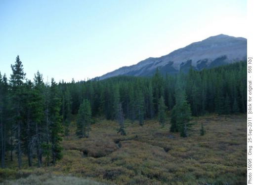 North Nihahi and upper Prairie Creek meadow