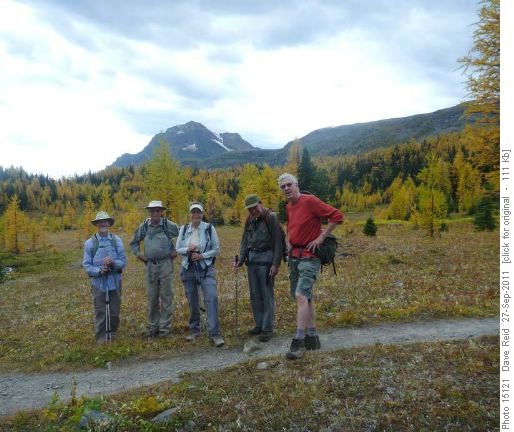 Group, Larches under the Ramparts
