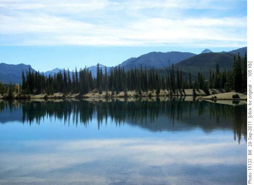 Forgetmenot Pond