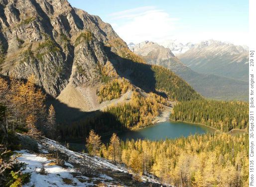 Arnica Lake