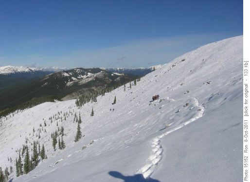 A snowy traverse on Forgetmenot Ridge A snowy traverse on Forgetmenot Ridge