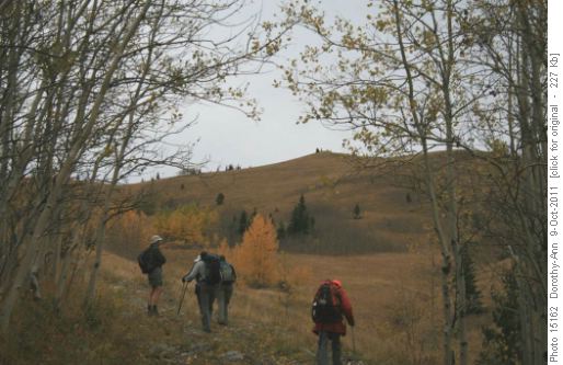 On our way to Grass Pass