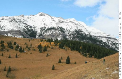 Back to Grass Pass with Mt Head & Holy Cross in view