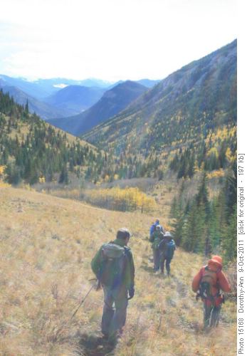 Gunnery Creek trail in wonderful sunshine