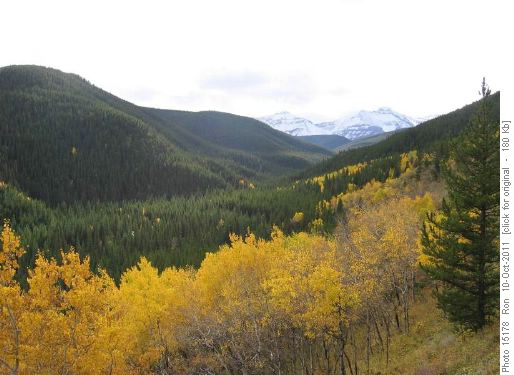 Looking up Gorge Creek